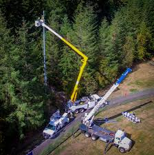 Peninsula Light Company | Utilities - Gig Harbor Chamber of Commerce, WA